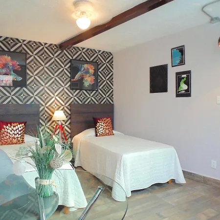 Coyotito Beds Coyoacan Confort Y Flexibilidad