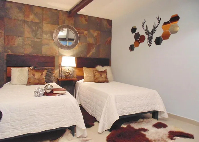 Coyotito Beds Coyoacan Confort Y Flexibilidad 2*