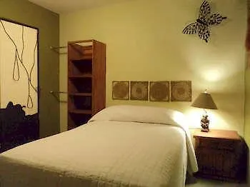 Coyotito Beds Coyoacan Confort Y Flexibilidad Hotel 2*