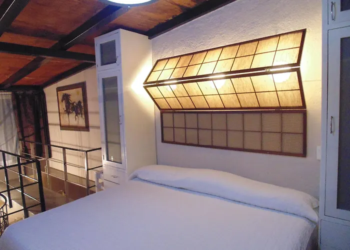 Hotel Coyotito Beds Coyoacan Confort Y Flexibilidad 2*