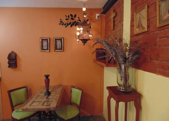 Coyotito Beds Coyoacan Confort Y Flexibilidad